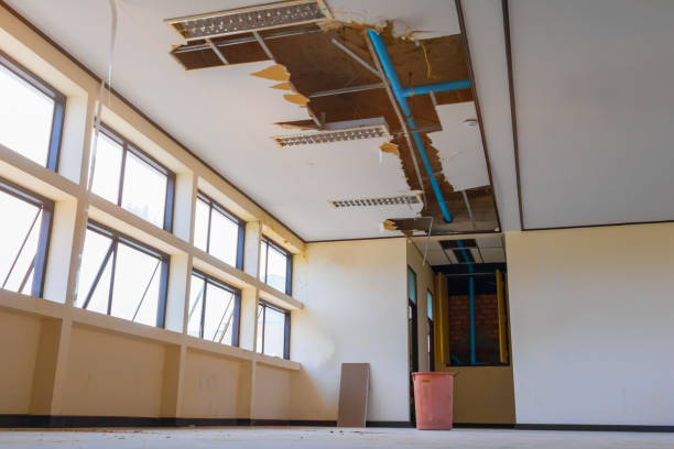 Best Mold removal after water damage  in Goose Creek Village, VA