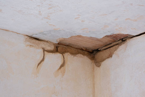 Best Flood damage cleanup  in Goose Creek Village, VA