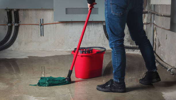 Best Carpet water damage restoration  in Goose Creek Village, VA